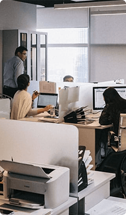 plus 1000 hours of development